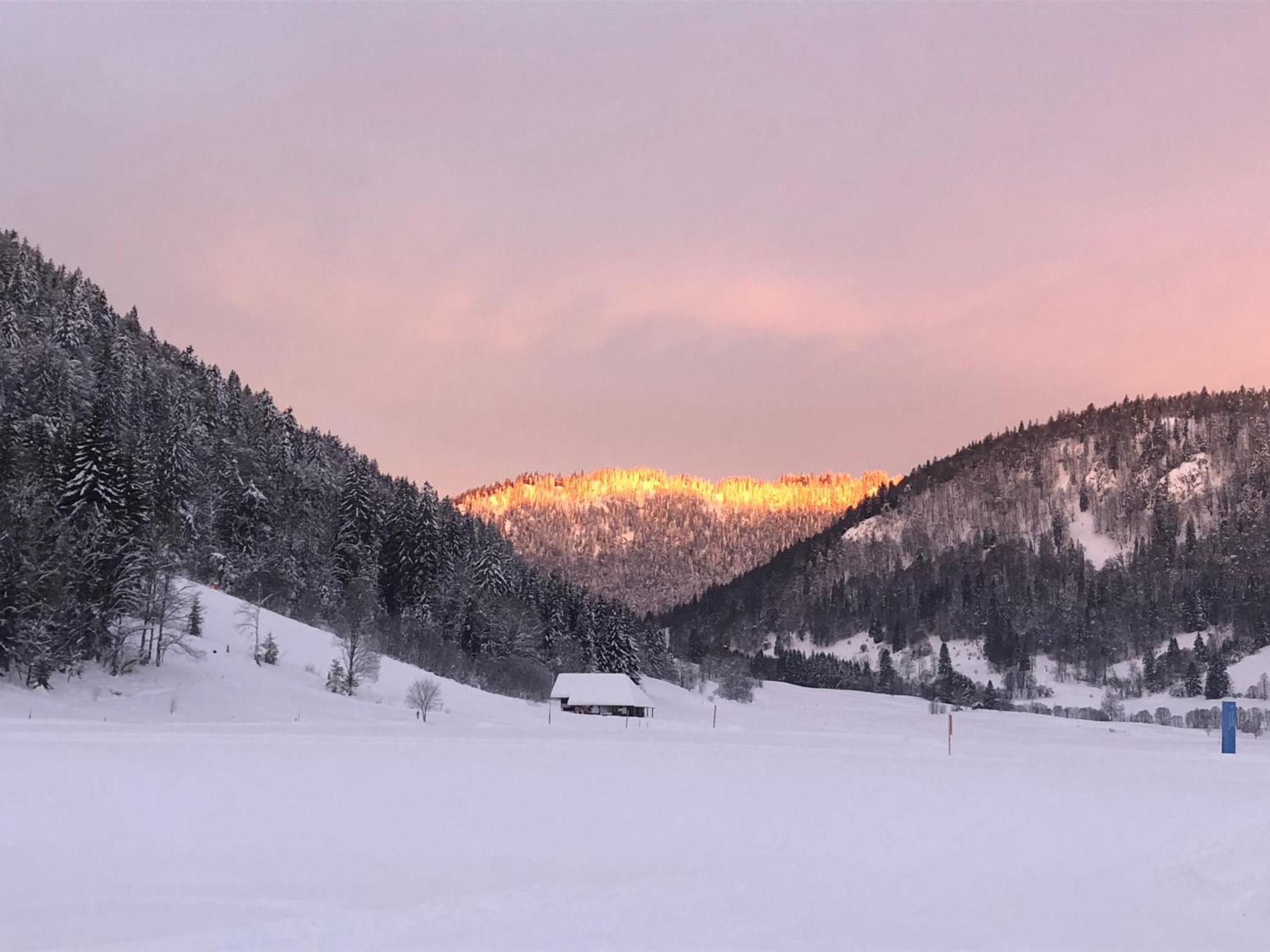 Forest Apartment-Mountain Escape Menzenschwand St. Blasien Dış mekan fotoğraf