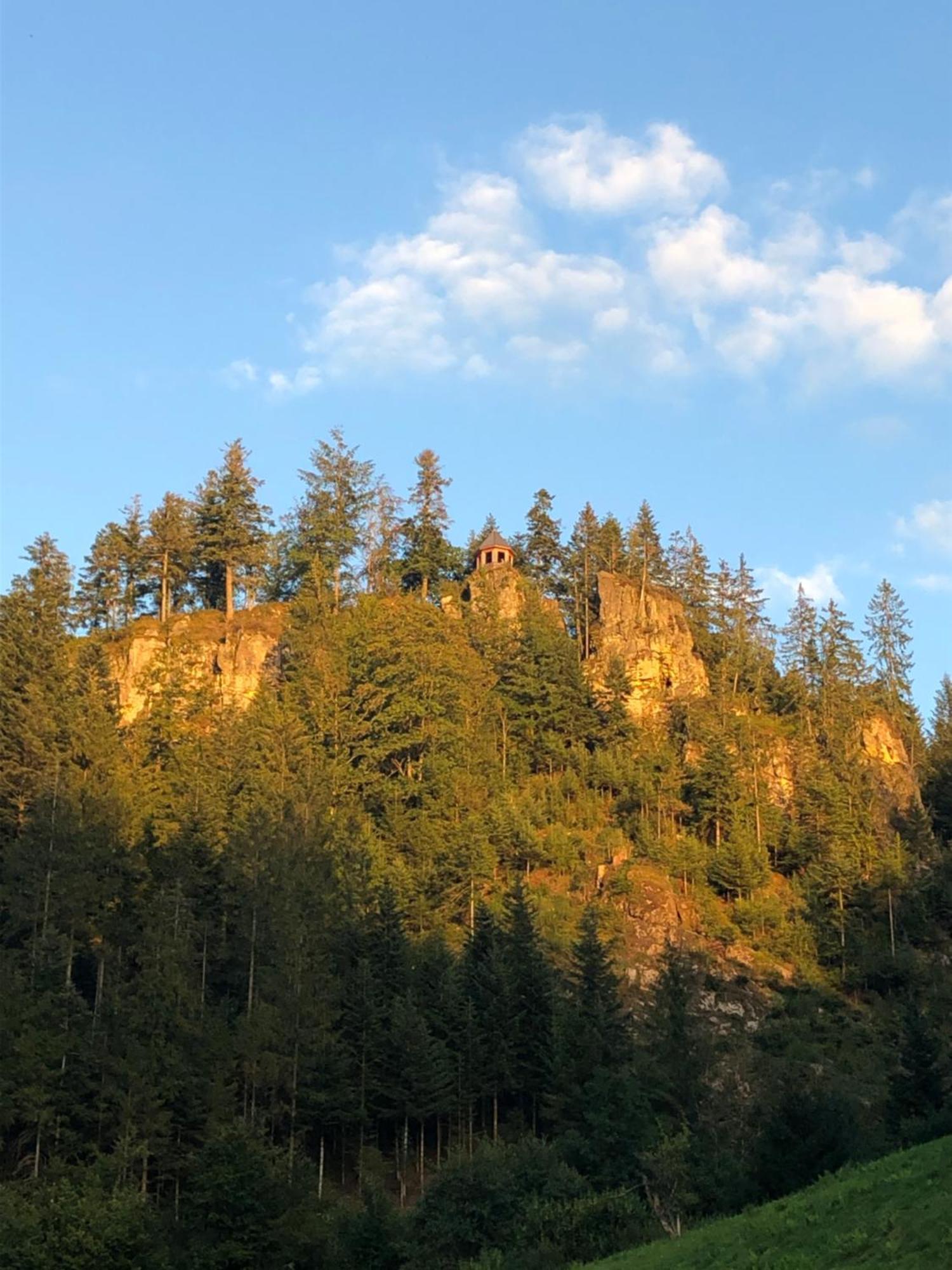 Forest Apartment-Mountain Escape Menzenschwand St. Blasien Dış mekan fotoğraf